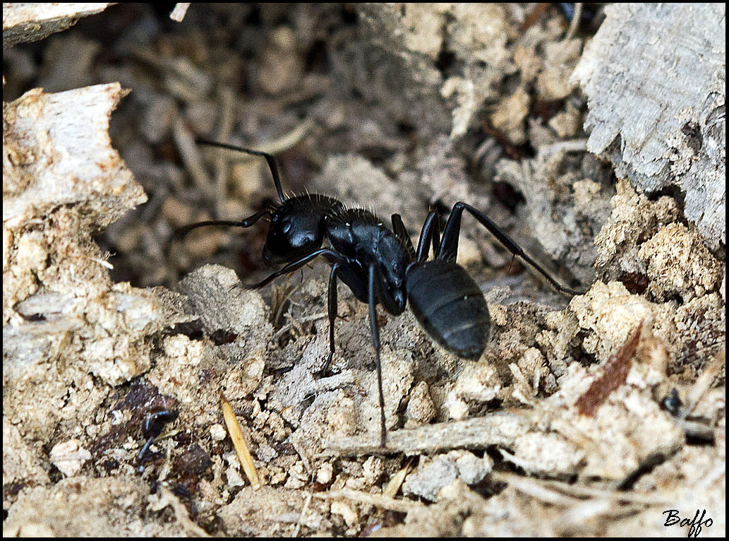 Uscite con i primi raggi di sole